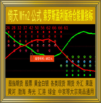 33.倚天财经版期货现货指标公式 索罗斯盈利版持仓能量副图指